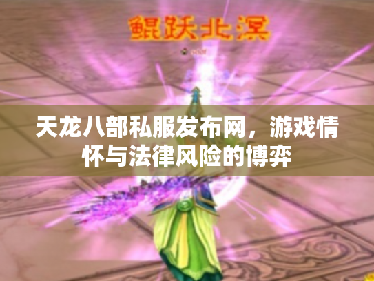 天龙八部私服发布网，游戏情怀与法律风险的博弈