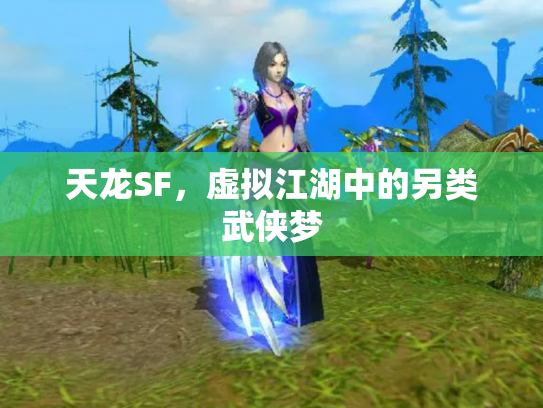 天龙SF，虚拟江湖中的另类武侠梦