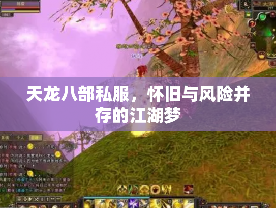 天龙八部私服，怀旧与风险并存的江湖梦