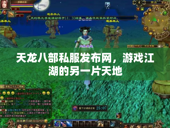 天龙八部私服发布网，游戏江湖的另一片天地