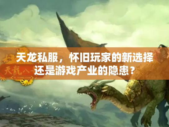 天龙私服，怀旧玩家的新选择还是游戏产业的隐患？