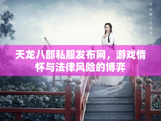 天龙八部私服发布网，游戏情怀与法律风险的博弈