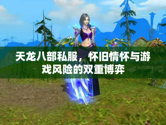 天龙八部私服，怀旧情怀与游戏风险的双重博弈