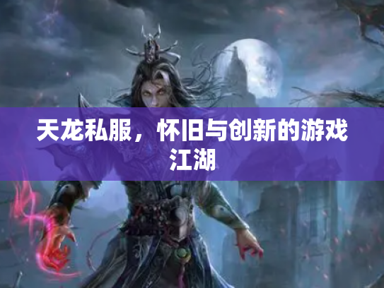 天龙私服，怀旧与创新的游戏江湖