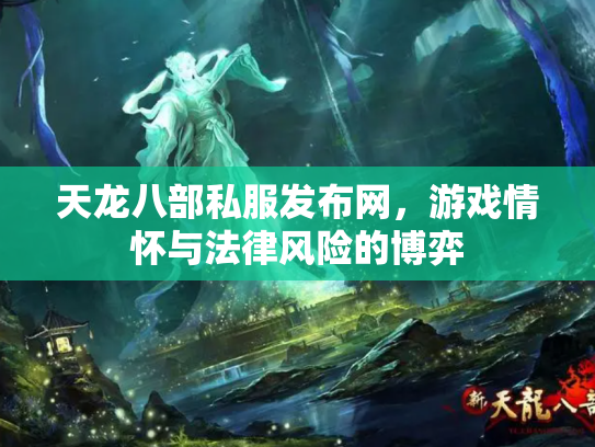 天龙八部私服发布网，游戏情怀与法律风险的博弈