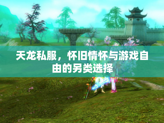 天龙私服，怀旧情怀与游戏自由的另类选择