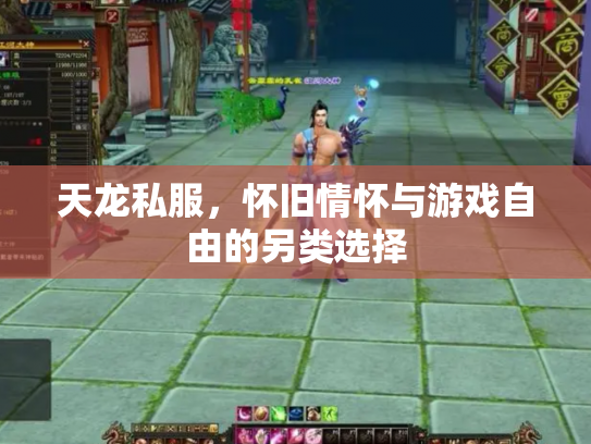 天龙私服，怀旧情怀与游戏自由的另类选择