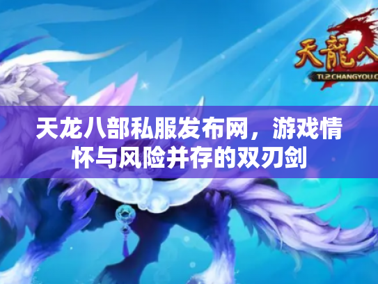 天龙八部私服发布网，游戏情怀与风险并存的双刃剑