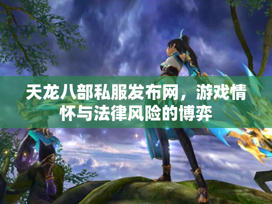 天龙八部私服发布网，游戏情怀与法律风险的博弈