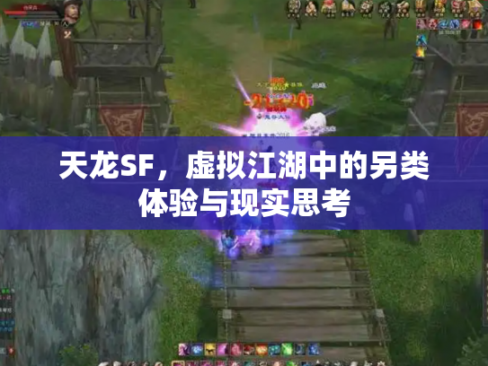 天龙SF，虚拟江湖中的另类体验与现实思考