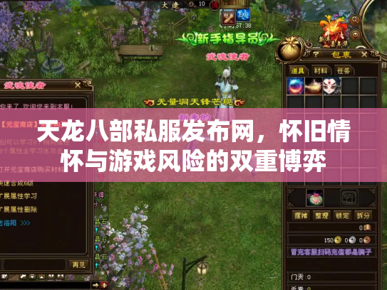 天龙八部私服发布网，怀旧情怀与游戏风险的双重博弈