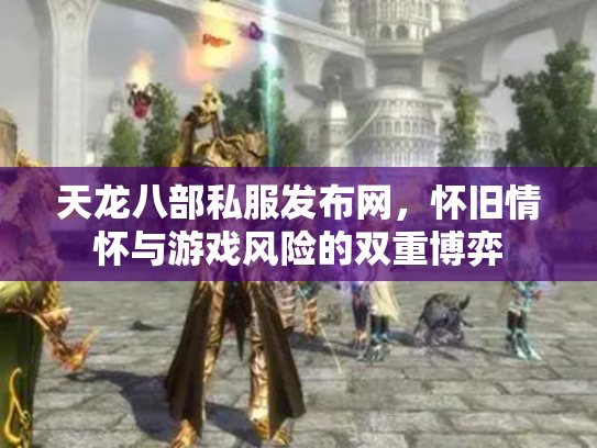 天龙八部私服发布网，怀旧情怀与游戏风险的双重博弈