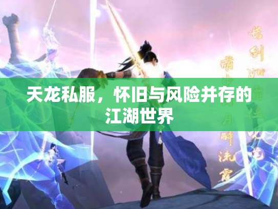 天龙私服，怀旧与风险并存的江湖世界