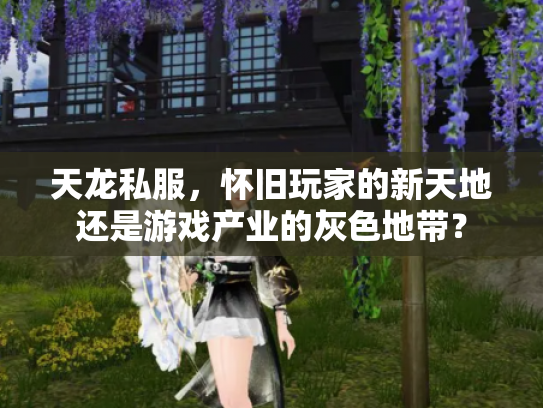 天龙私服，怀旧玩家的新天地还是游戏产业的灰色地带？