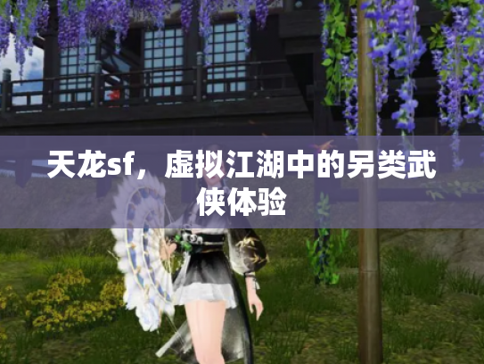 天龙sf，虚拟江湖中的另类武侠体验