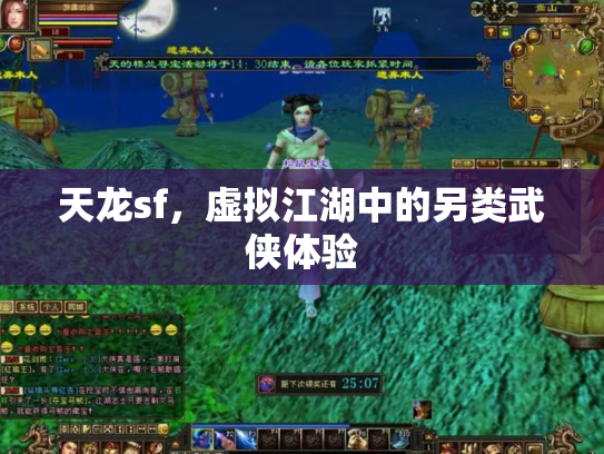 天龙sf，虚拟江湖中的另类武侠体验