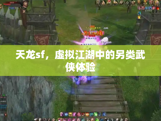 天龙sf，虚拟江湖中的另类武侠体验