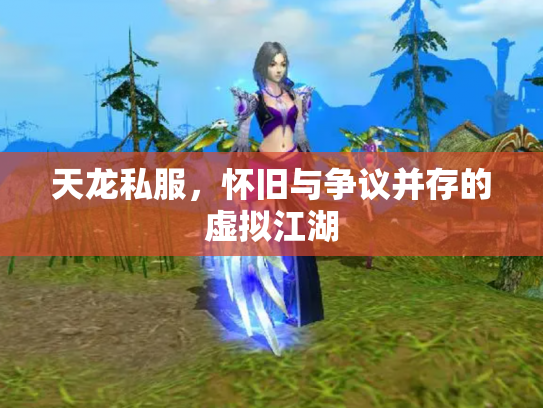 天龙私服，怀旧与争议并存的虚拟江湖
