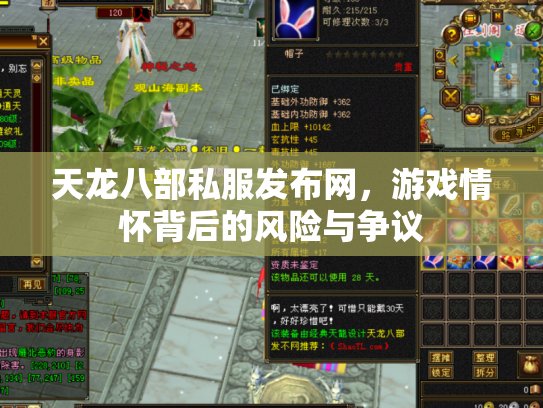 天龙八部私服发布网，游戏情怀背后的风险与争议