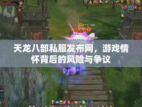 天龙八部私服发布网，游戏情怀背后的风险与争议
