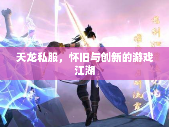 天龙私服，怀旧与创新的游戏江湖