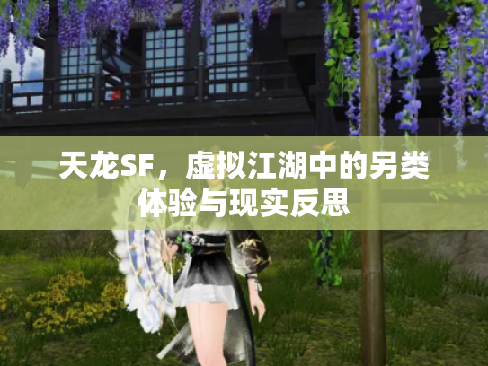 天龙SF，虚拟江湖中的另类体验与现实反思