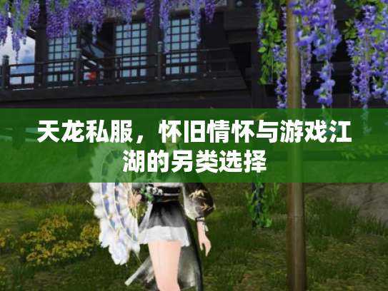 天龙私服，怀旧情怀与游戏江湖的另类选择