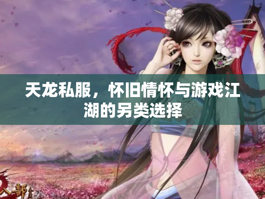 天龙私服，怀旧情怀与游戏江湖的另类选择