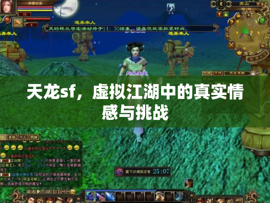 天龙sf，虚拟江湖中的真实情感与挑战