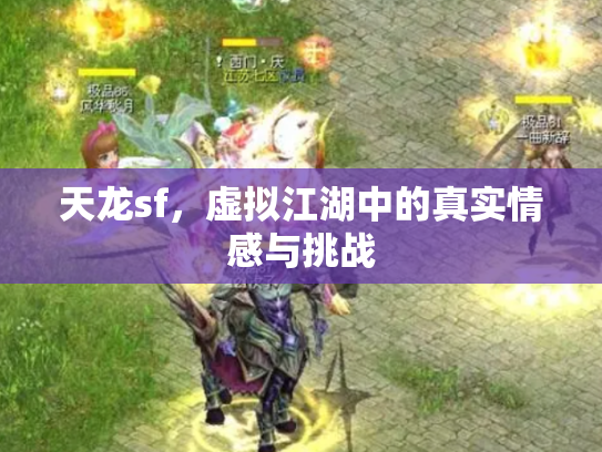 天龙sf，虚拟江湖中的真实情感与挑战