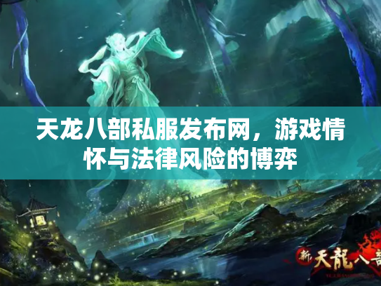 天龙八部私服发布网，游戏情怀与法律风险的博弈