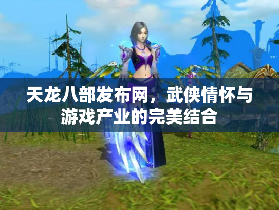 天龙八部发布网，武侠情怀与游戏产业的完美结合