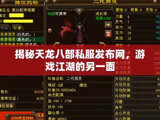 揭秘天龙八部私服发布网，游戏江湖的另一面