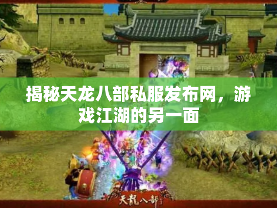 揭秘天龙八部私服发布网，游戏江湖的另一面