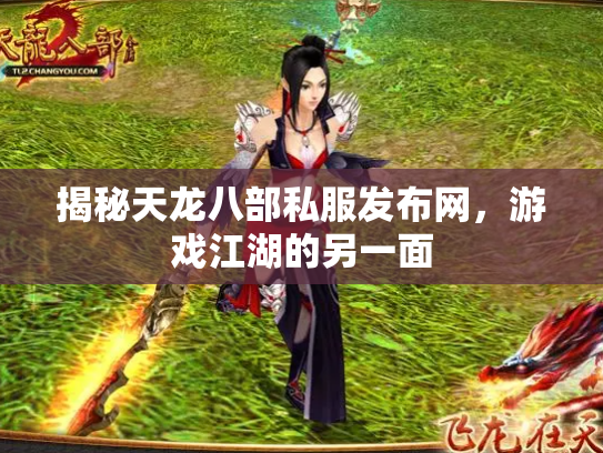 揭秘天龙八部私服发布网，游戏江湖的另一面