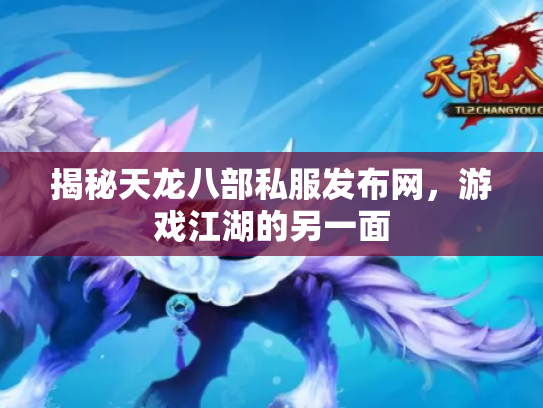 揭秘天龙八部私服发布网，游戏江湖的另一面