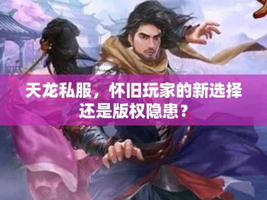 天龙私服，怀旧玩家的新选择还是版权隐患？