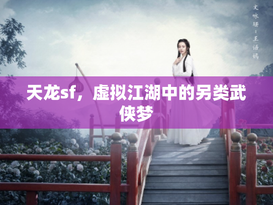 天龙sf，虚拟江湖中的另类武侠梦