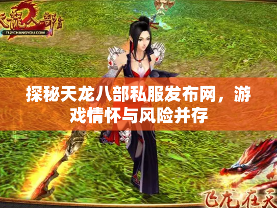 探秘天龙八部私服发布网，游戏情怀与风险并存