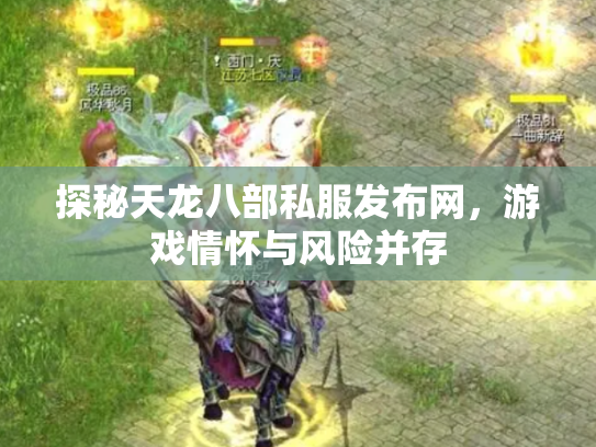 探秘天龙八部私服发布网，游戏情怀与风险并存