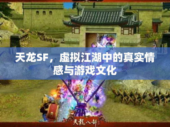 天龙SF，虚拟江湖中的真实情感与游戏文化