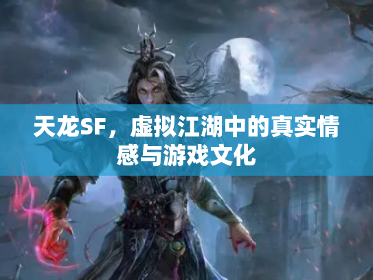天龙SF，虚拟江湖中的真实情感与游戏文化