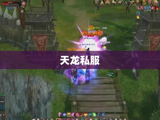 天龙私服