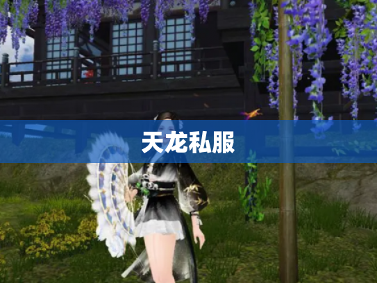 天龙私服