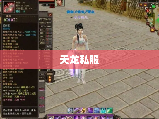 天龙私服
