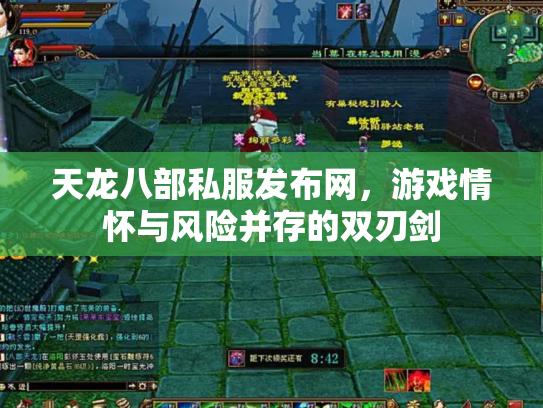 天龙八部私服发布网，游戏情怀与风险并存的双刃剑