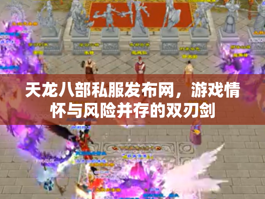 天龙八部私服发布网，游戏情怀与风险并存的双刃剑