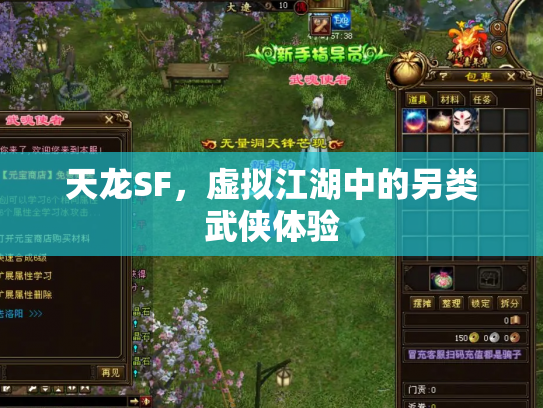 天龙SF，虚拟江湖中的另类武侠体验