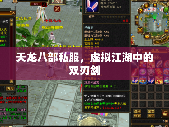 天龙八部私服，虚拟江湖中的双刃剑
