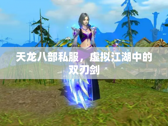 天龙八部私服，虚拟江湖中的双刃剑